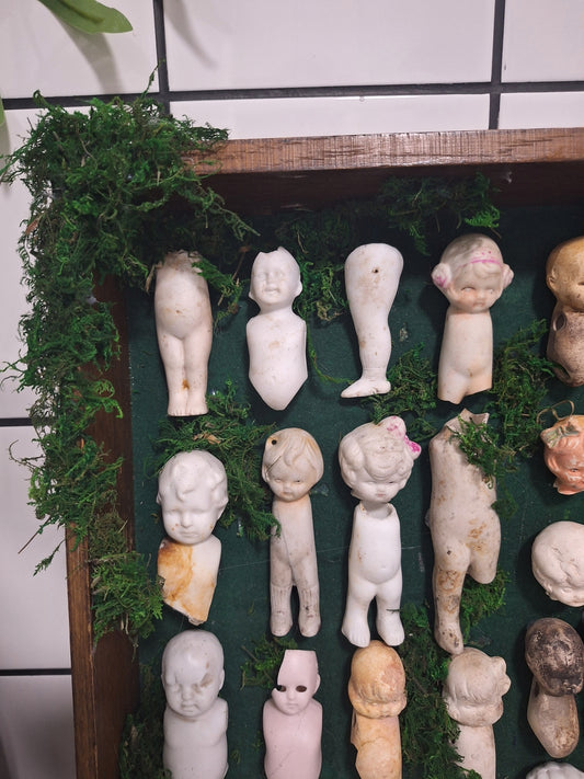 Antique mudlarking finds cabinet of curiosities