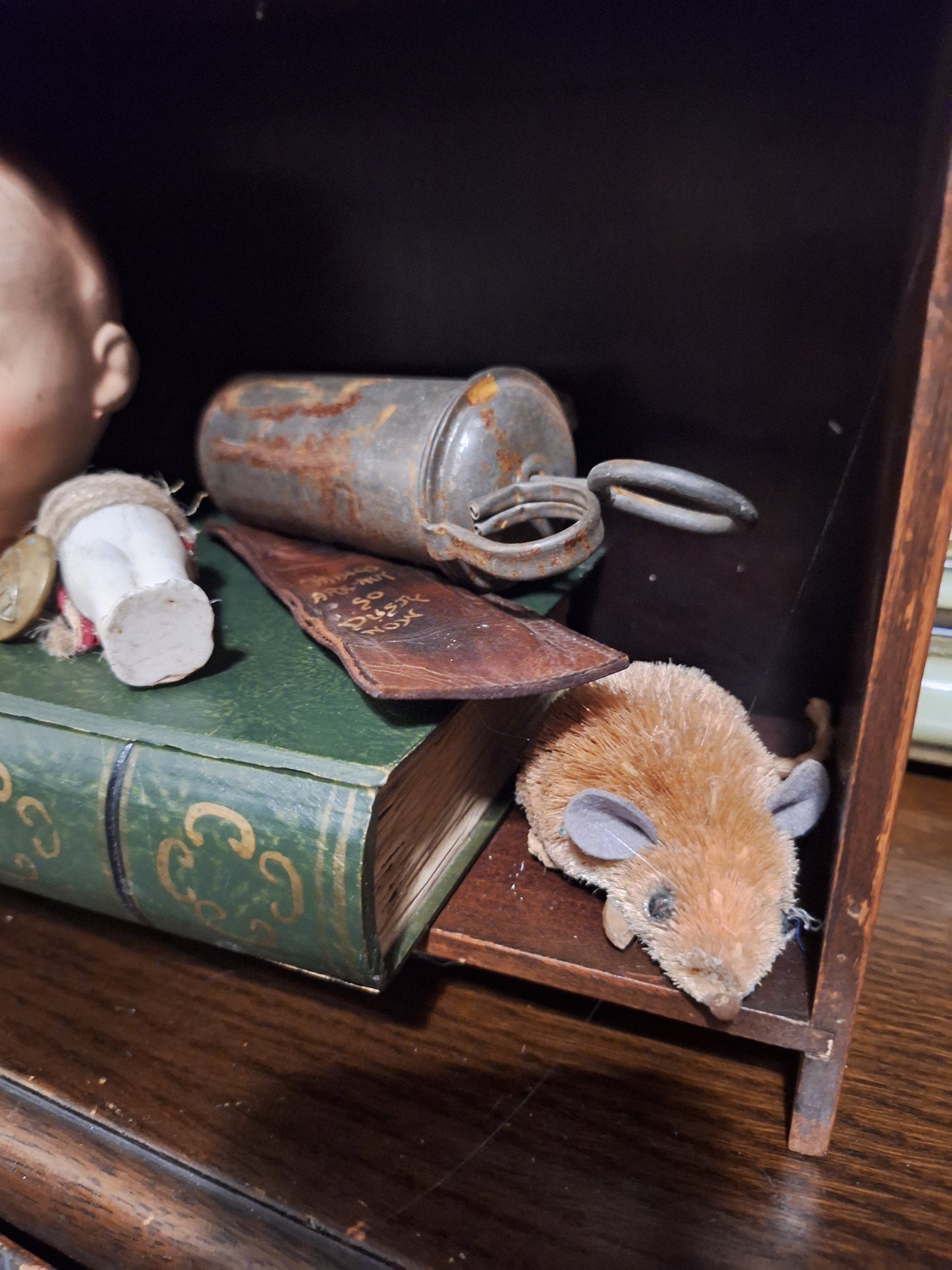 Peculiar curiosity cabinet